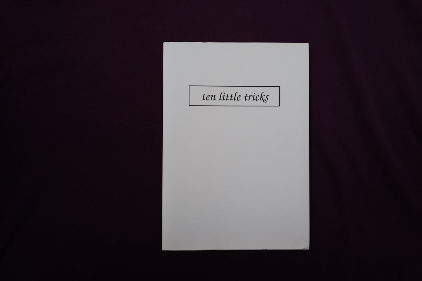 【中古：状態B】ten little tricks