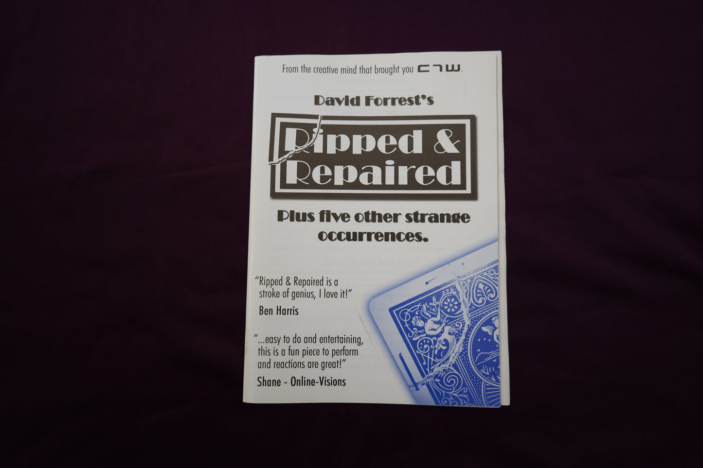 【中古：状態A】Ripped & Repaired - David Forres