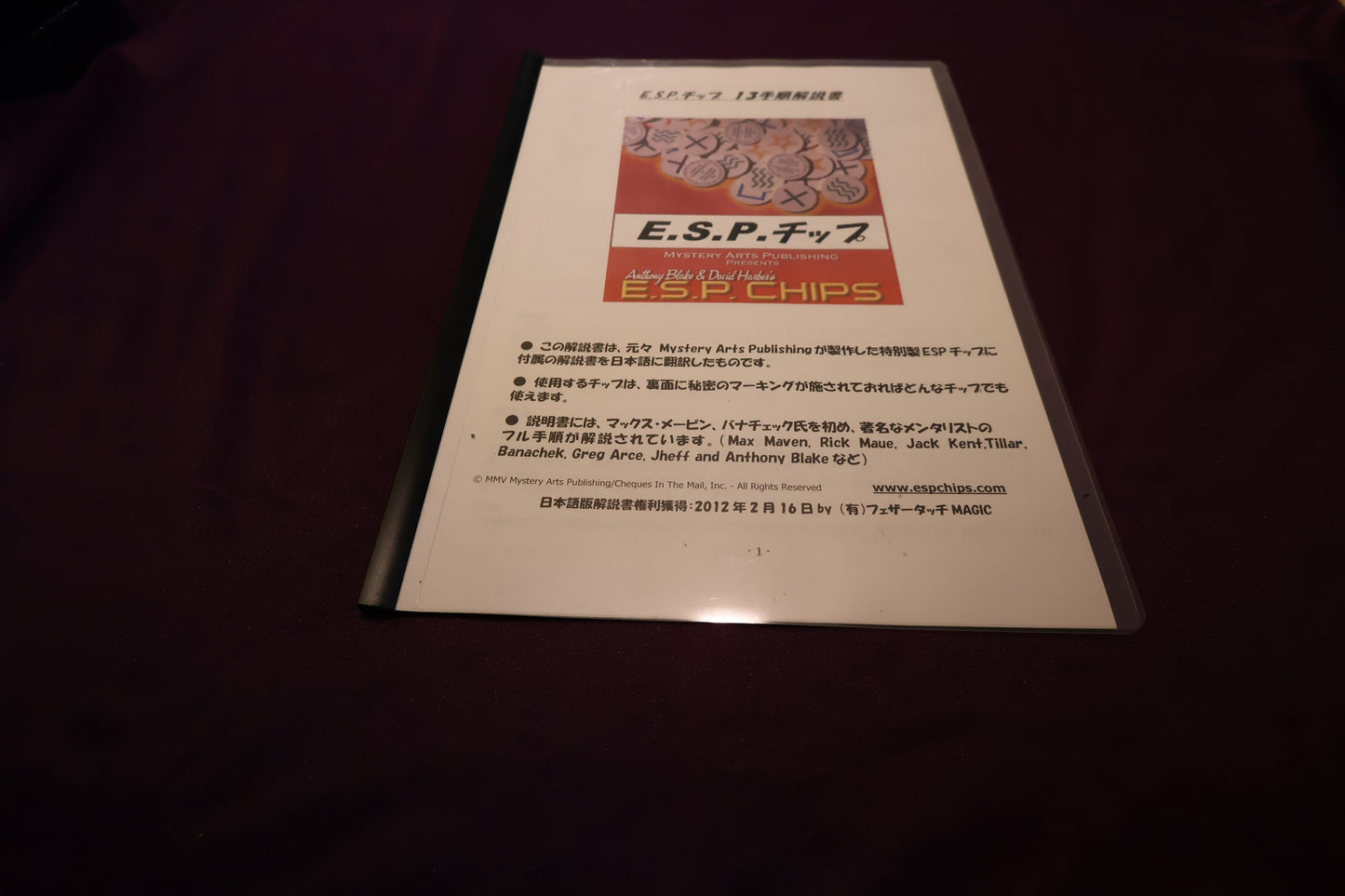【中古：状態A】E.S.P.チップ13手順解説書