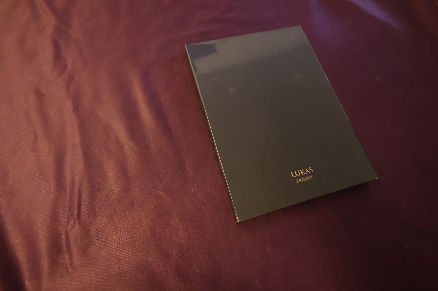 【中古：状態A】ARTIST  BY LUKAS