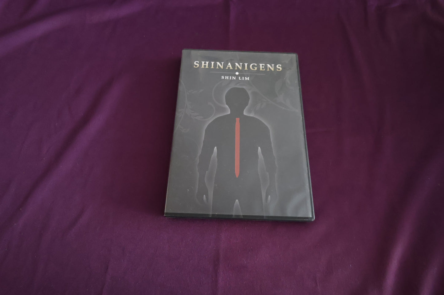 【中古：状態A】SHINANIGENS by SHIN LIM