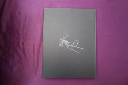【中古：状態B】The Magical World of SLYDINI by Karl Fulves Taxt/Photographs