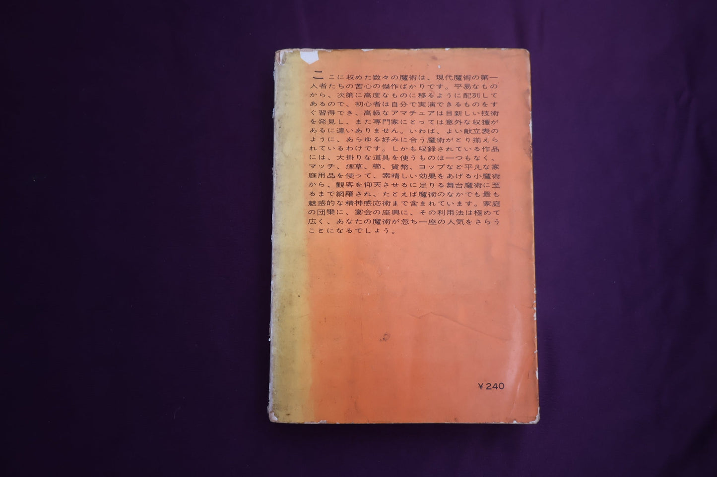 【中古：状態D】あなたも魔術師になれる ブルース・エリオット
