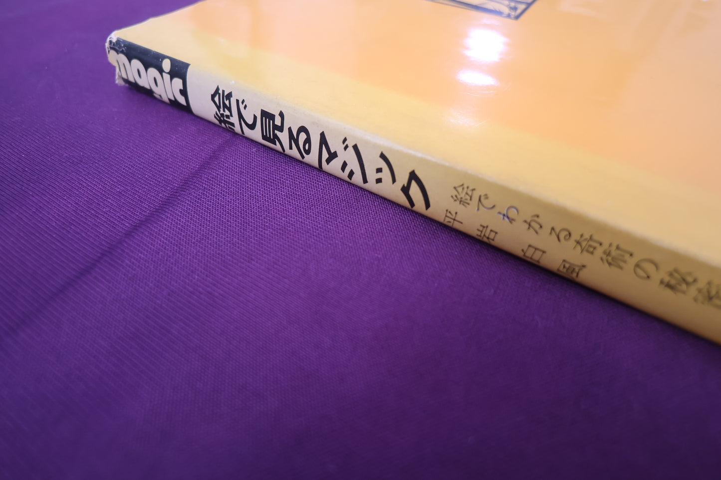 【中古：状態C】絵で見るマジック　平岩白風