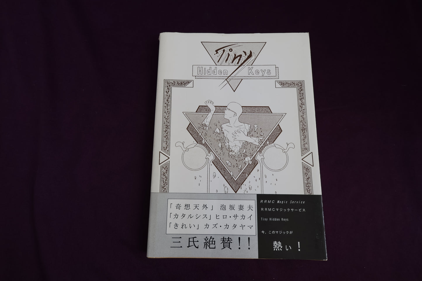 【中古：状態C】Tiny Hidden Keys