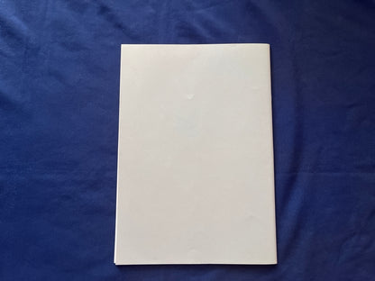 【中古：状態B】インビジブルハンド or THE HOLD OUT MAGIC