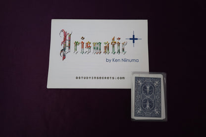 【中古：状態A】Prismatic+ by KEN NIINUMA