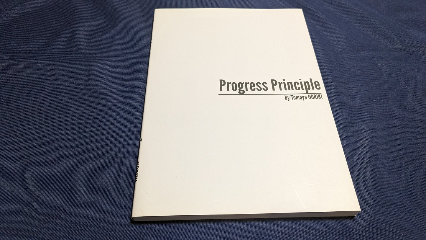 【USED：状態A】progress principle