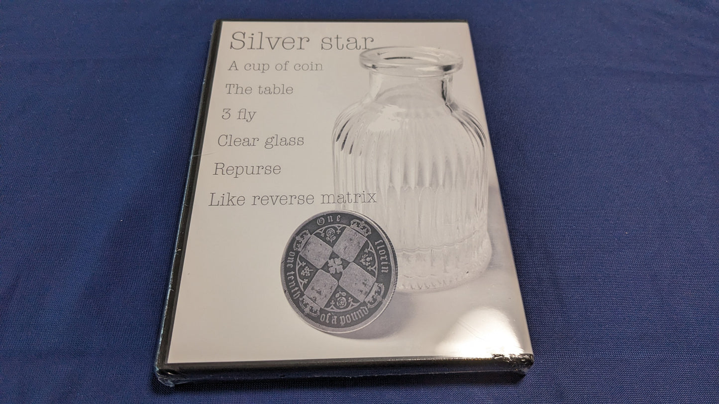 【USED：状態S】Silver star