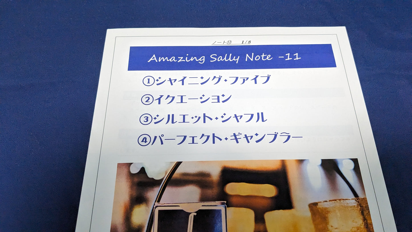 【中古：状態A】Amazing Sally Note-11（冊子のみ）