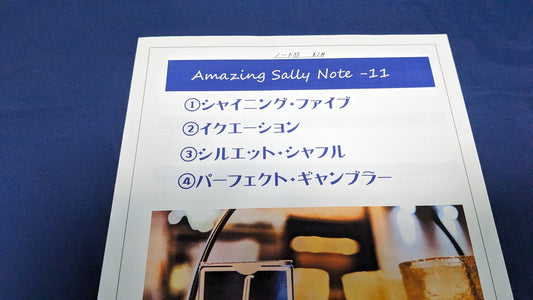 【中古：状態A】Amazing Sally Note-11（冊子のみ）