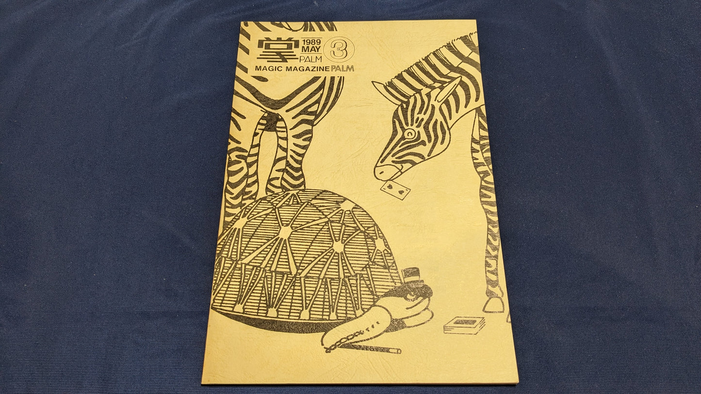 【中古：状態C】掌Palm　No3