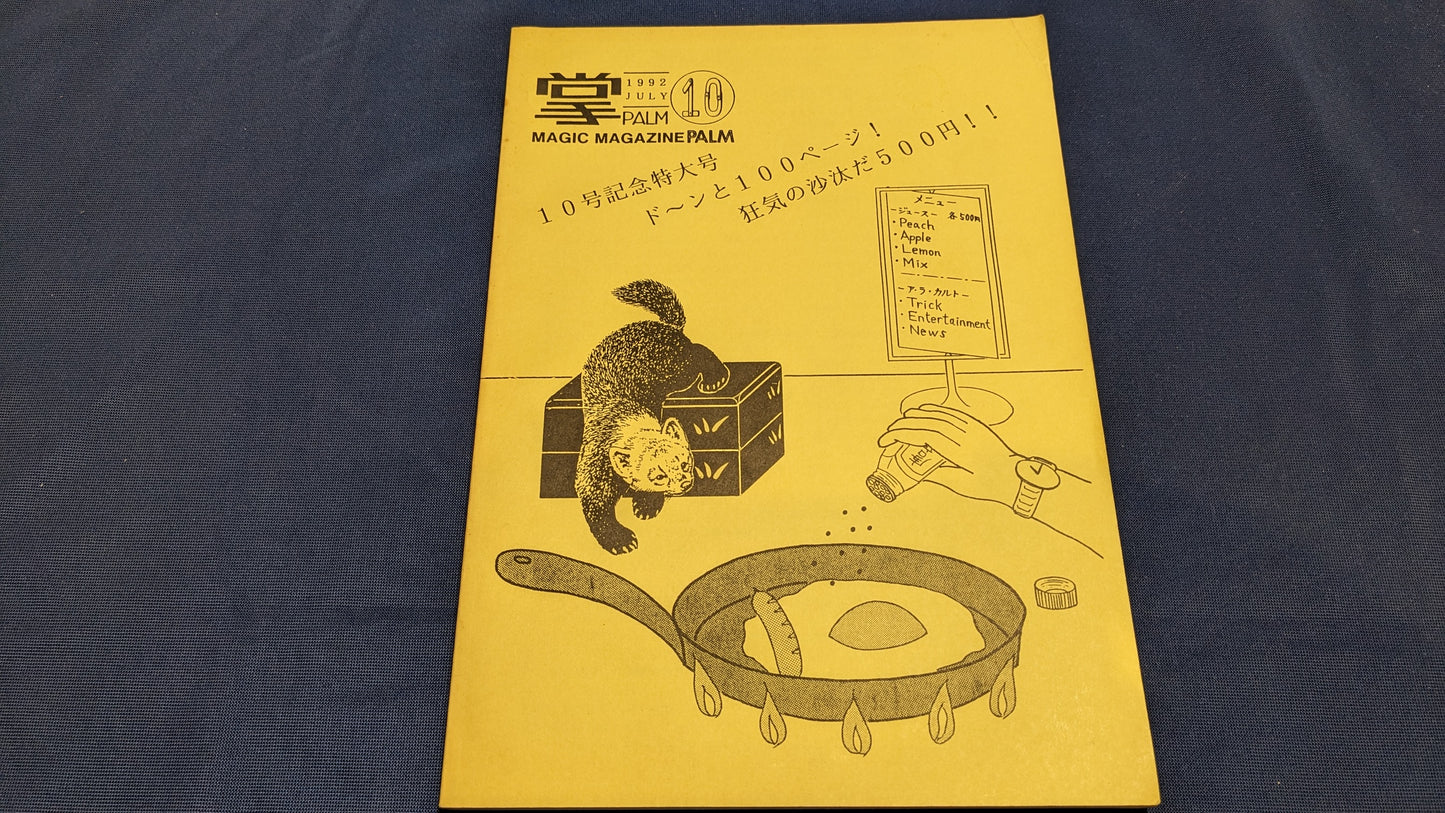 【中古：状態C】掌Palm　No10