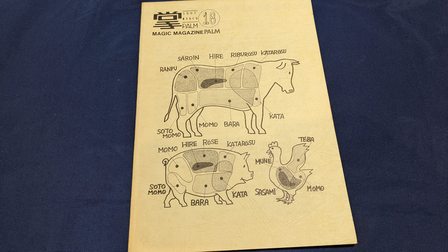 【中古：状態C】掌Palm　No18