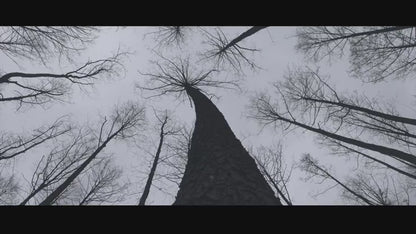 【Murphy's Magic DL】Ahead by Peter Turner and Pigcake video DOWNLOAD