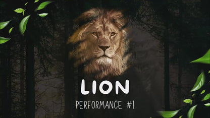 【Murphy's Magic DL】Lion by Nikolas Mavresis video DOWNLOAD